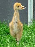 White Black Blue on 9th May 2012 White Black Blue on 9th May 2012